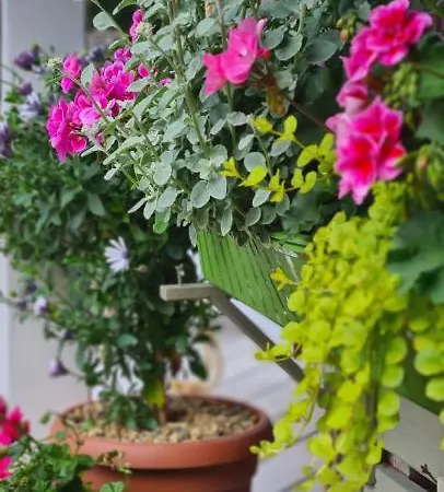 On The Hill * Kielno