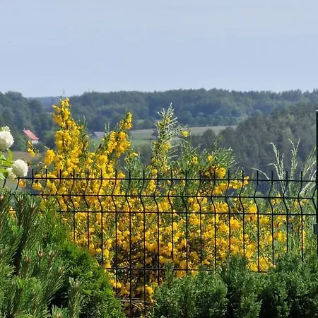 On The Hill * Kielno