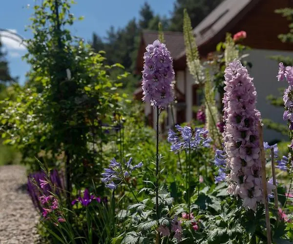 Semesterbostad On The Hill