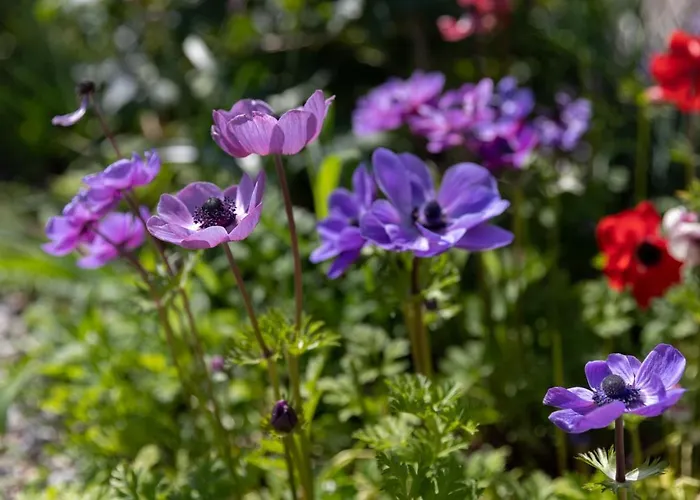 Semesterbostad On The Hill Kielno