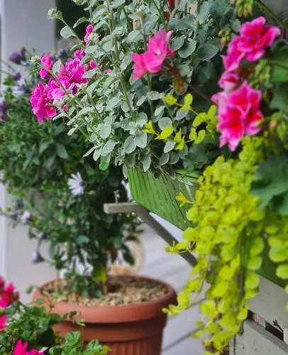 On The Hill * Kielno