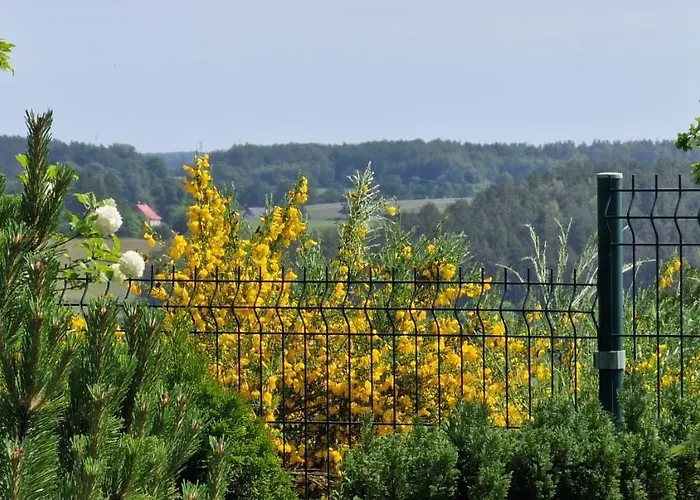 On The Hill * Kielno