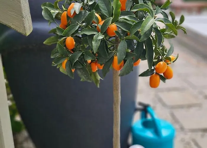 On The Hill Semesterbostad Kielno