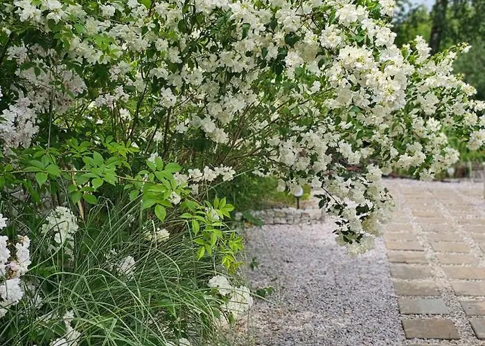 On The Hill * Kielno